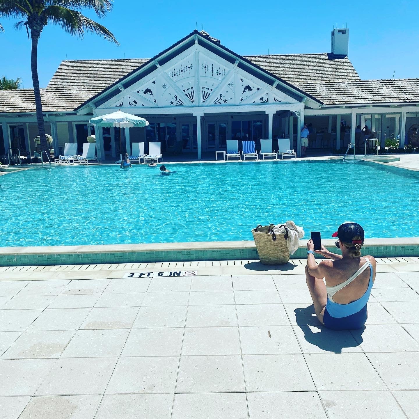 Sand Dollar Navy & Snow All - Season Organic Muslin Throw Blanket - Gray Heron