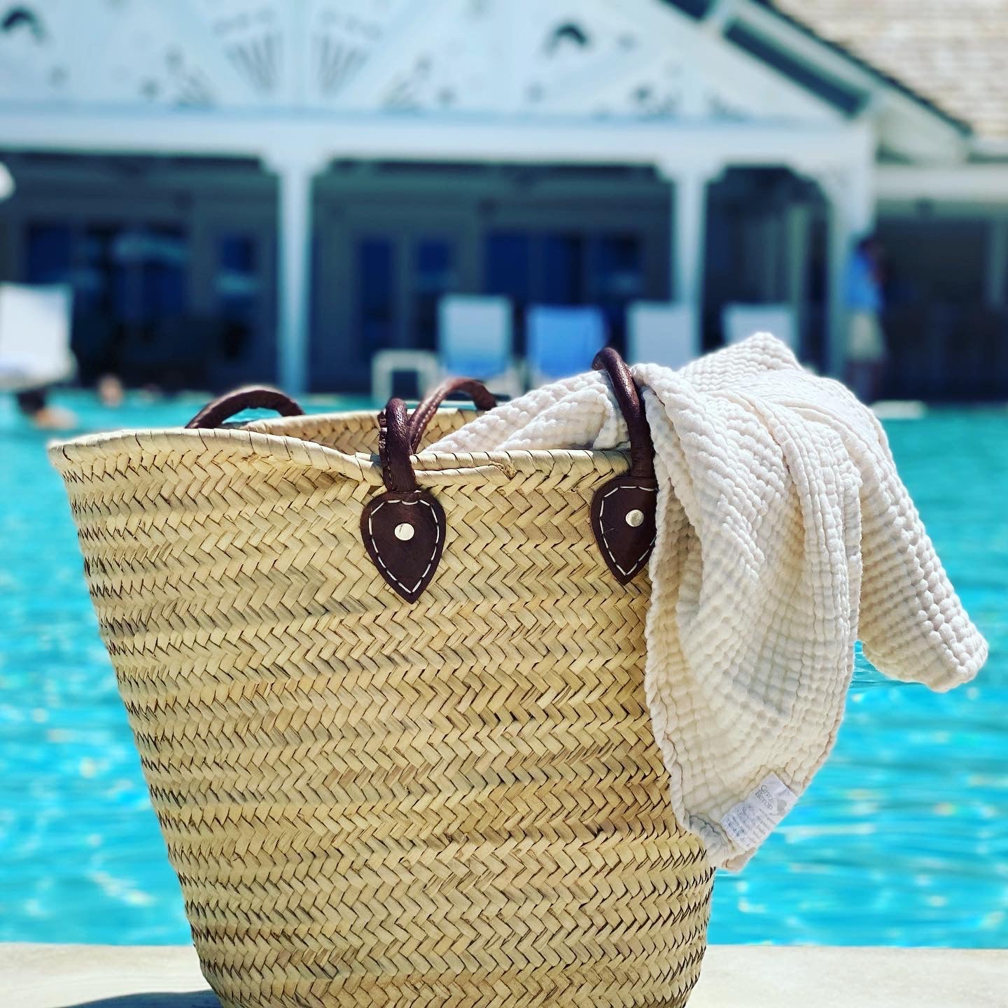 Sand Dollar Navy & Snow All - Season Organic Muslin Throw Blanket - Gray Heron