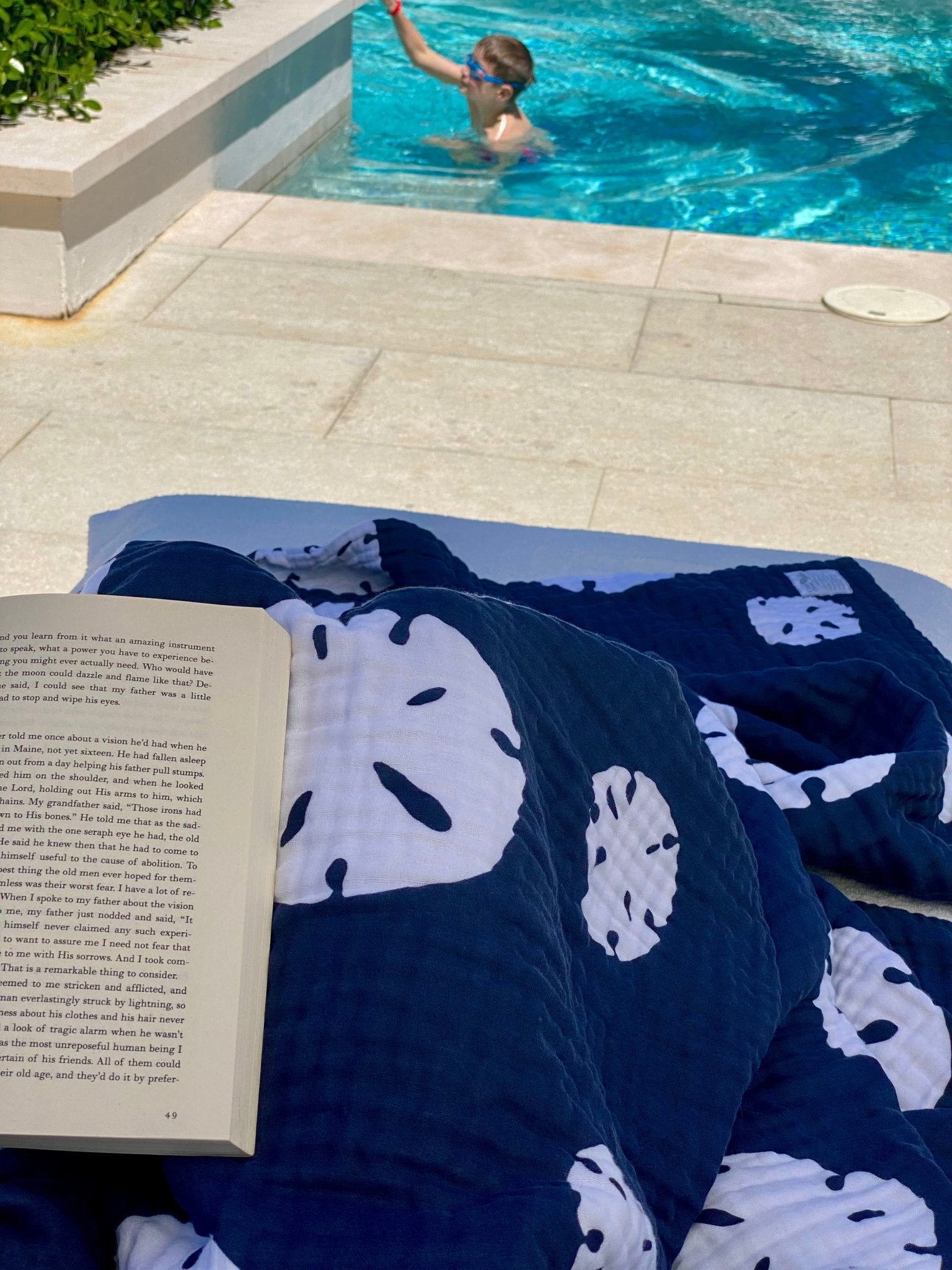 Sand Dollar Navy & Snow All - Season Organic Muslin Throw Blanket - Gray Heron