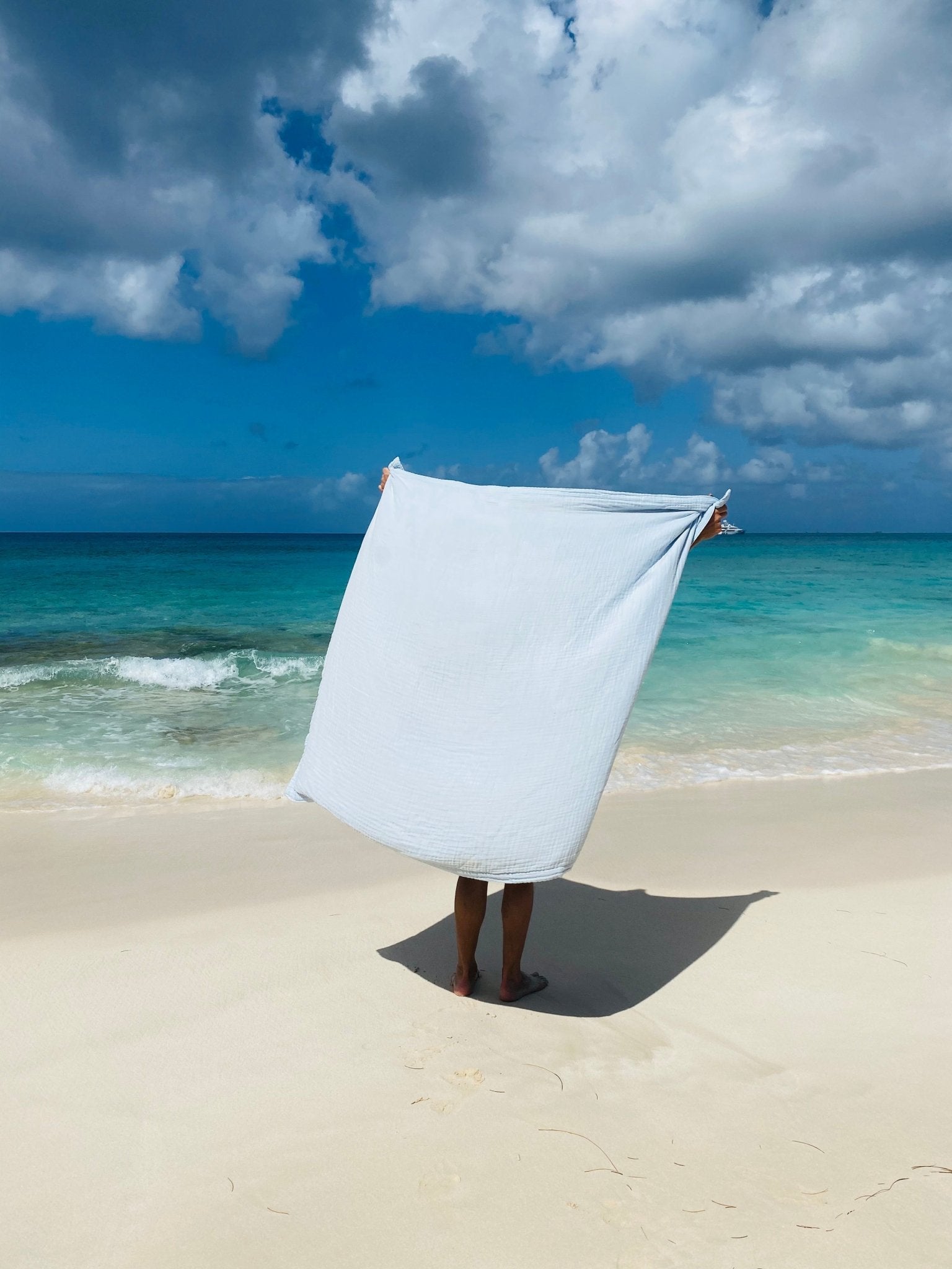 Sand Dollar Navy & Snow All - Season Organic Muslin Throw Blanket - Gray Heron