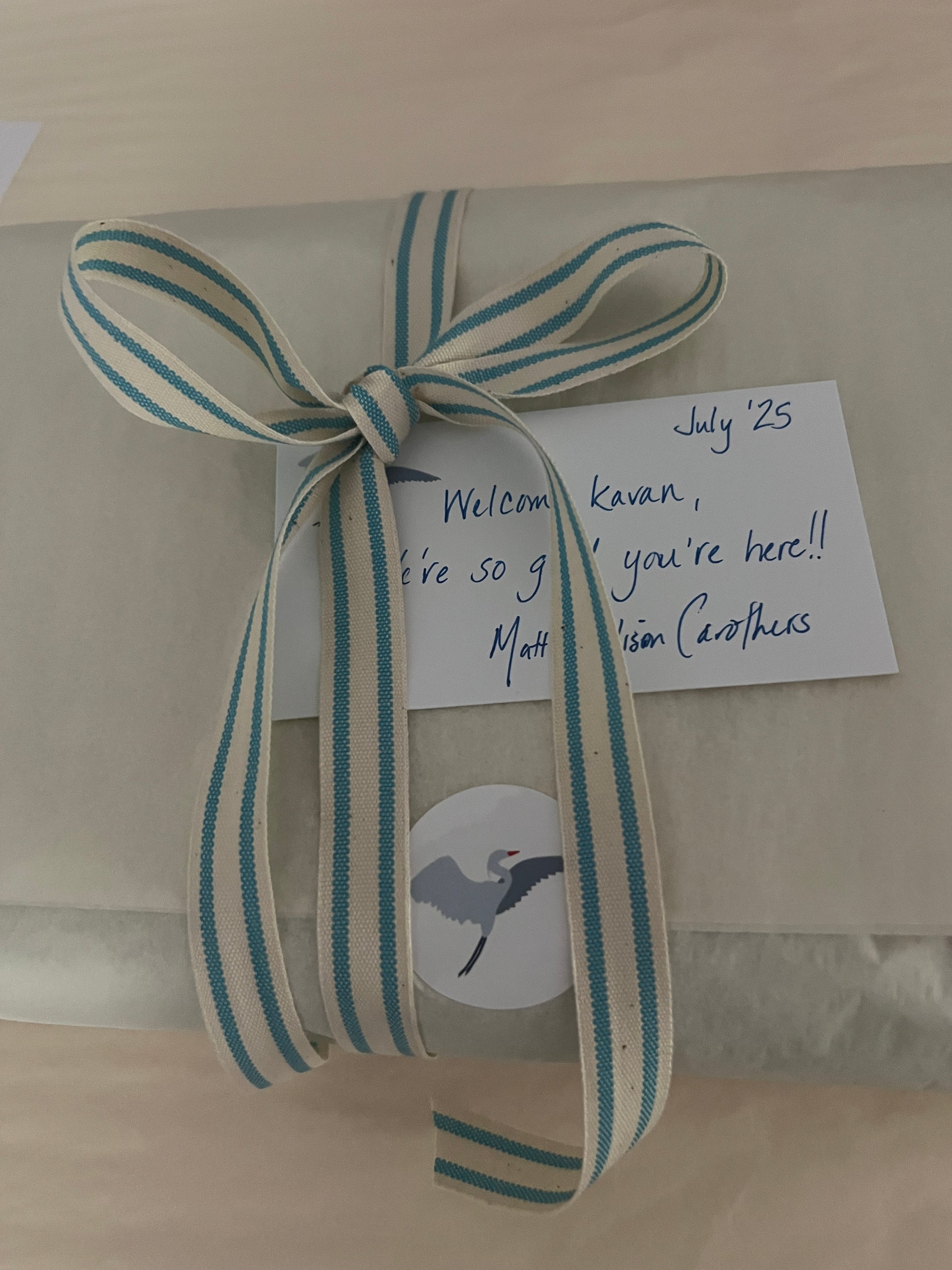 Mist All-Season Organic Muslin Mini Blanket 8 Layer Muslin Baby Blanket Gray Heron