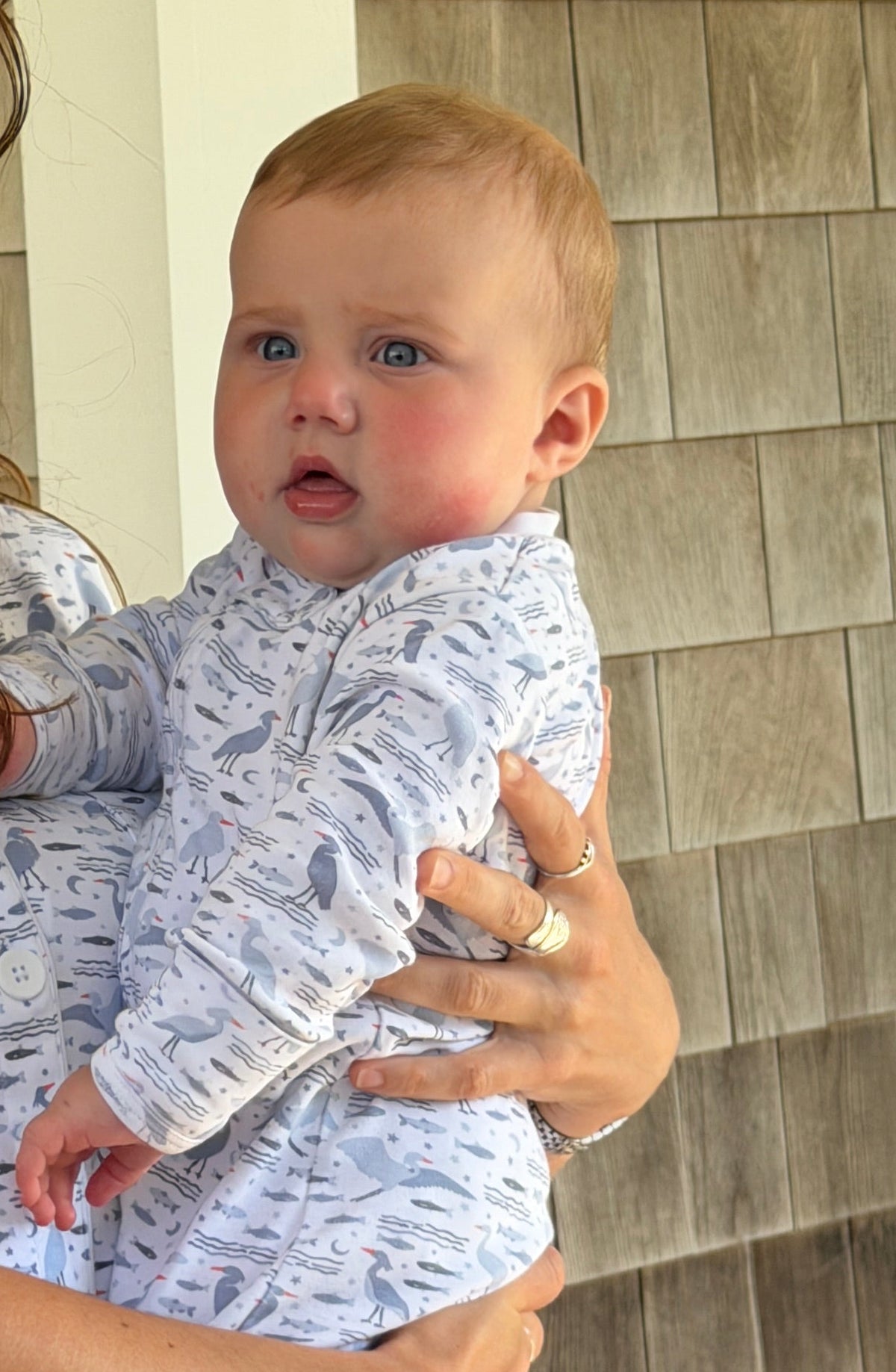 Organic Pima Baby Footie Pajamas – Happy Heron Print - Gray Heron 