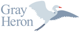 Gray Heron 