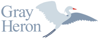 Gray Heron 