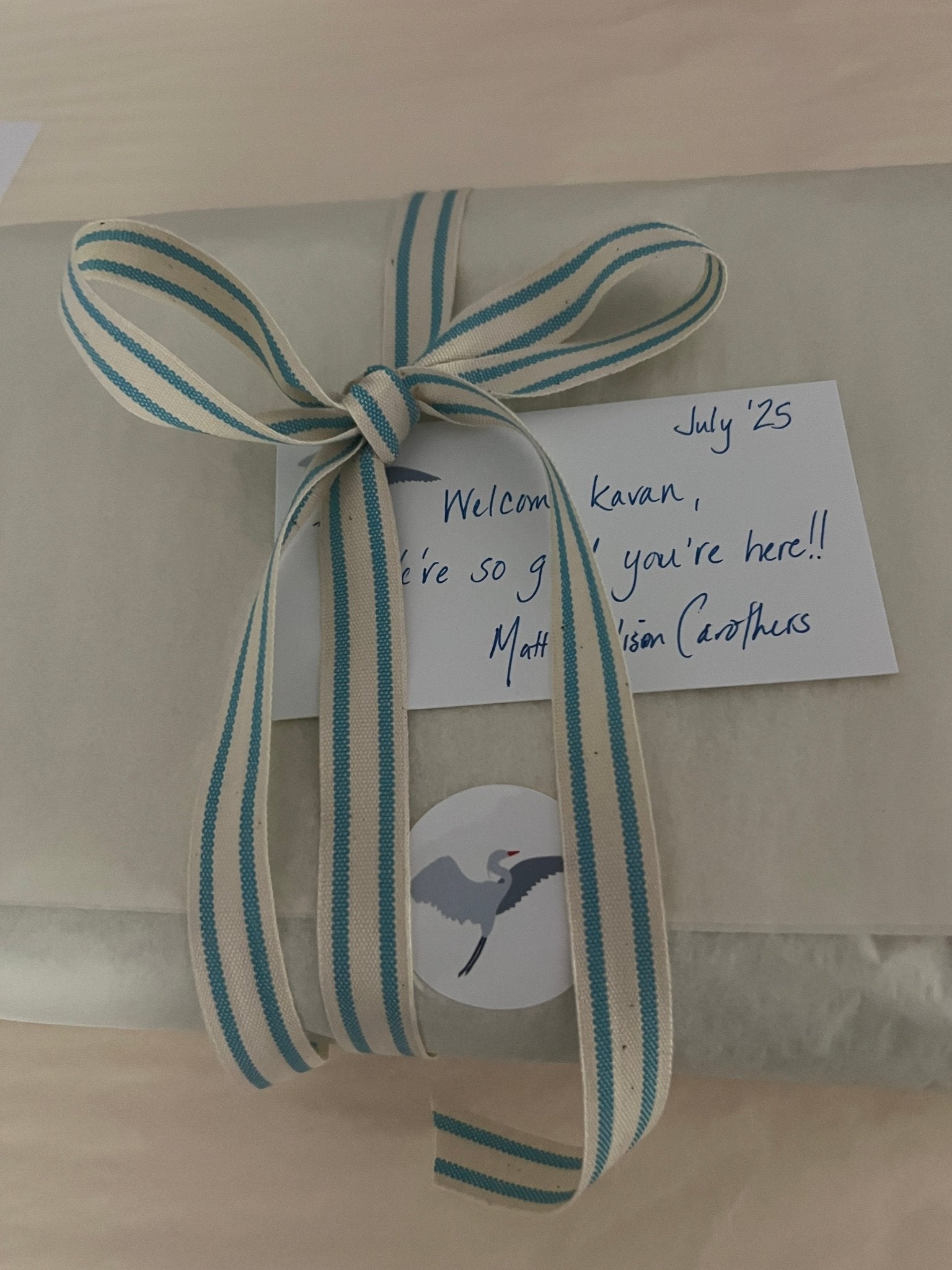 Organic Muslin Summer-Weight Mini Blanket - Mist Organic Baby Blanket Gray Heron
